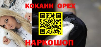 дмт Шелехов
