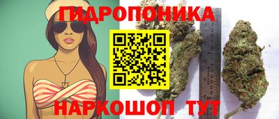 скорость Шебекино